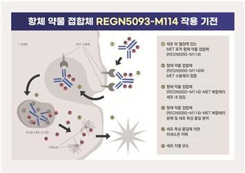 사진=연세암병원 제공