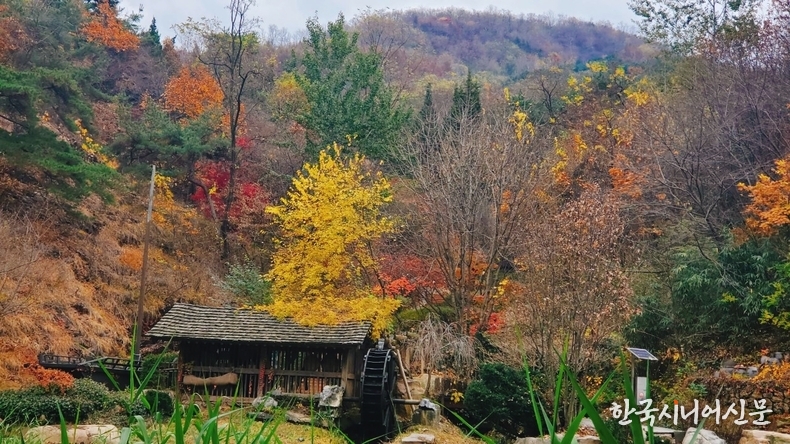 사진=한국시니어신문