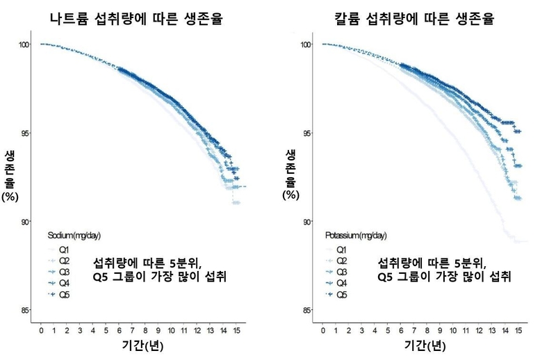 그래프. (사진=세브란스병원 제공)