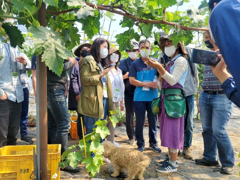 1기 신규농업인 기초 영농 교육. (사진=경기도 제공)