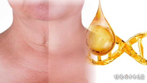 [저속노화 특집 ②] 세포 속 시간의 비밀, 텔로미어가 답이다